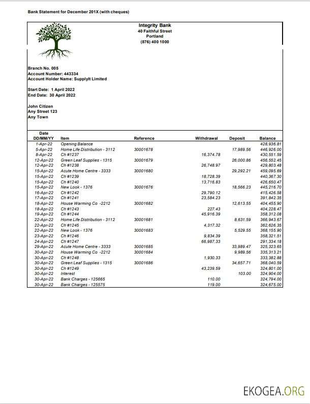 Modèle Word et PDF de relevé de la USA Integrity Bank